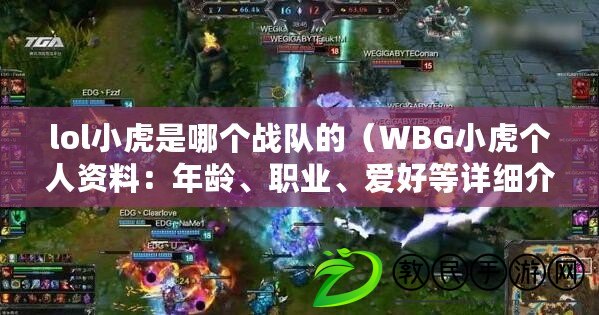 lol小虎是哪個戰隊的（WBG小虎個人資料：年齡、職業、愛好等詳細介紹）