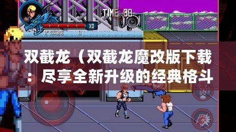 雙截龍（雙截龍魔改版下載：盡享全新升級的經典格斗游戲樂趣?。? title=