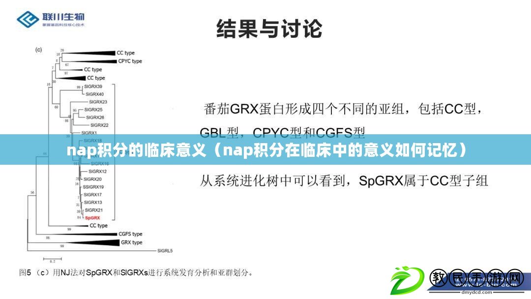 nap積分的臨床意義(nap積分在臨床中的意義如何記憶) nap積分的臨床意義(nap積分在臨床中的意義如何記憶)