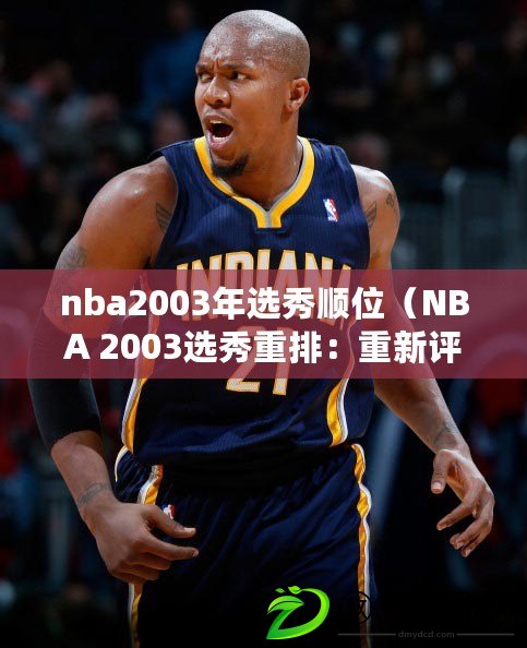 nba2003年選秀順位（NBA 2003選秀重排：重新評估頂級球員的命運）