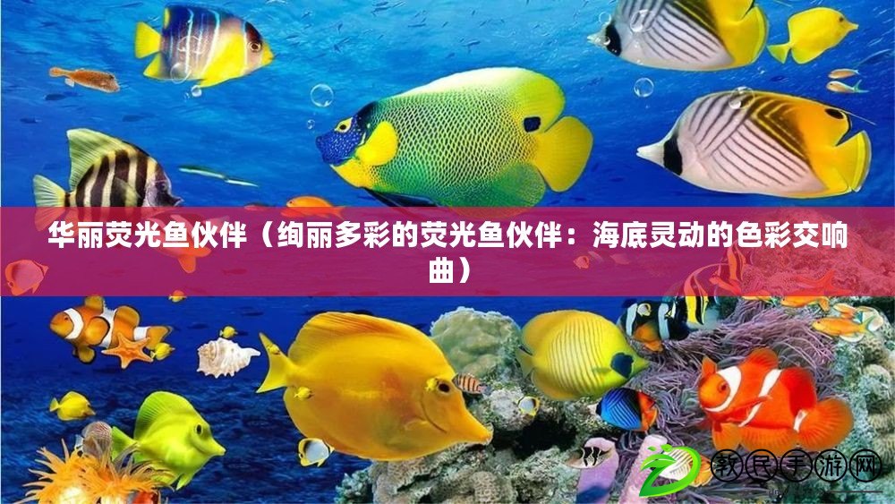 華麗熒光魚伙伴（絢麗多彩的熒光魚伙伴：海底靈動的色彩交響曲）