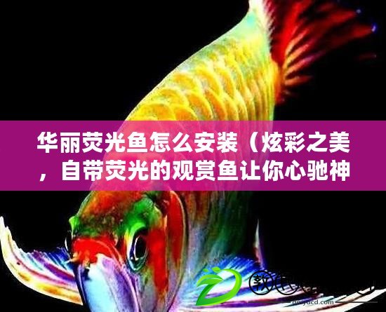 華麗熒光魚怎么安裝（炫彩之美，自帶熒光的觀賞魚讓你心馳神往?。? title=
