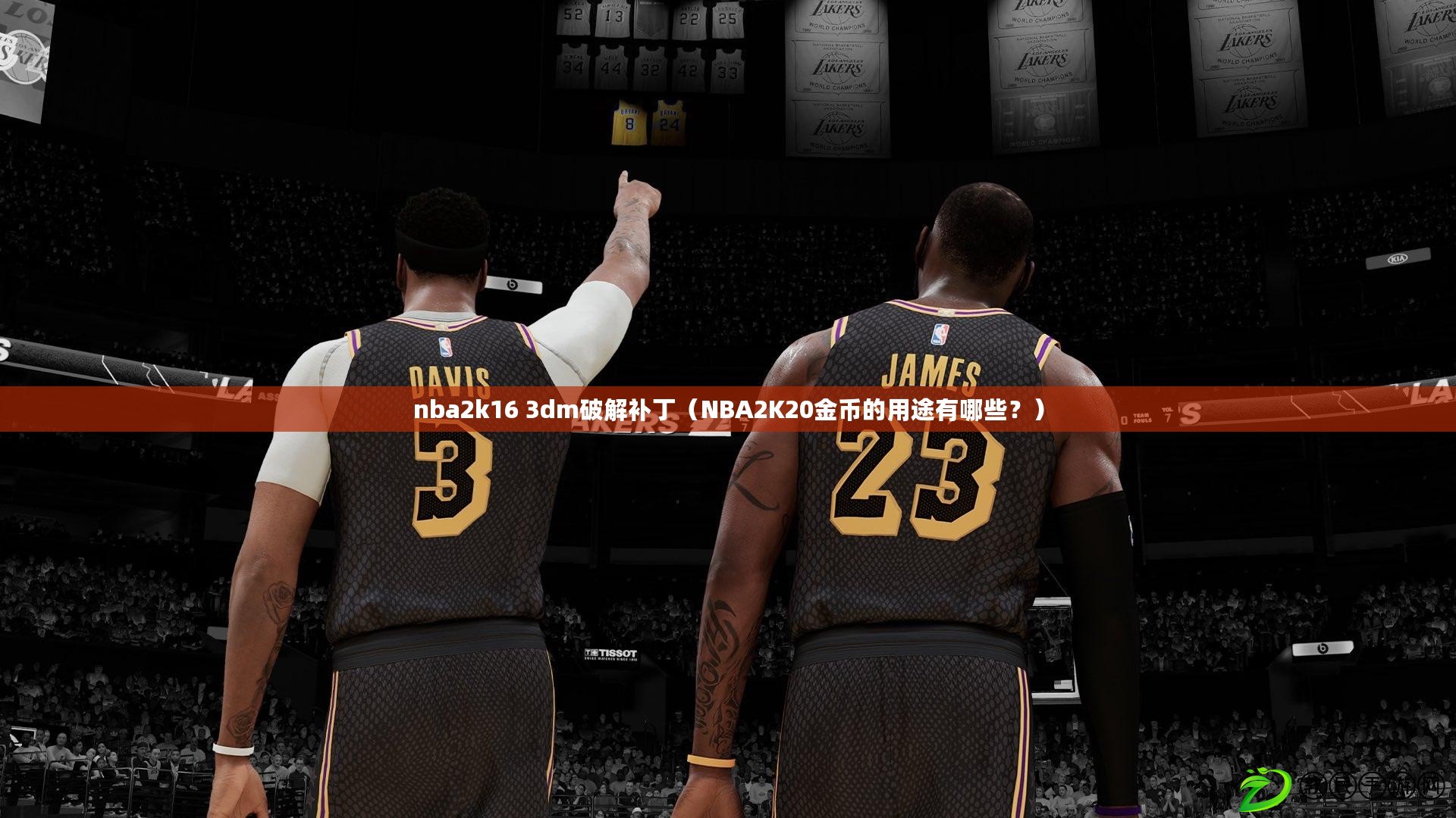 nba2k16 3dm破解補?。∟BA2K20金幣的用途有哪些？）