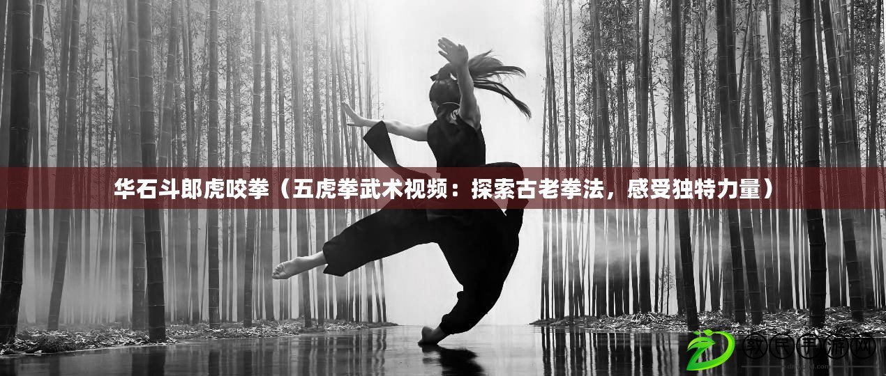 華石斗郎虎咬拳（五虎拳武術視頻：探索古老拳法，感受獨特力量）