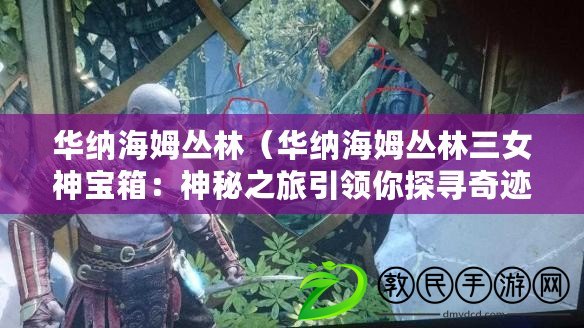 華納海姆叢林（華納海姆叢林三女神寶箱：神秘之旅引領你探尋奇跡）