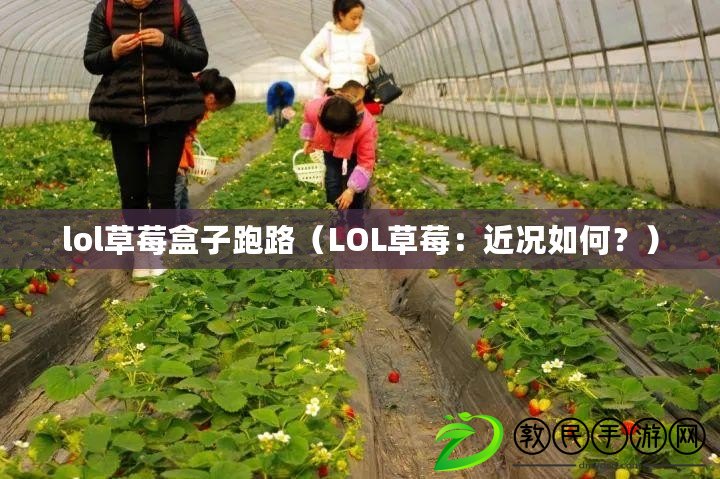 lol草莓盒子跑路（LOL草莓：近況如何？）