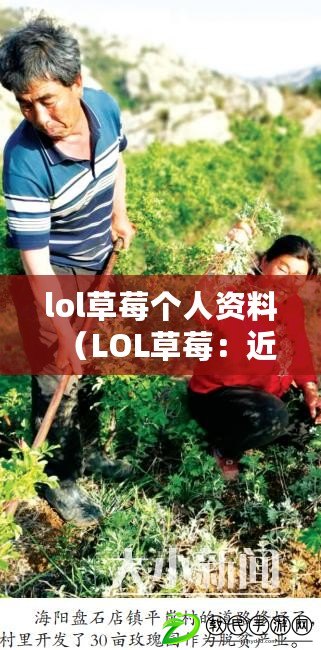 lol草莓個人資料（LOL草莓：近況如何，職業生涯現狀一覽）