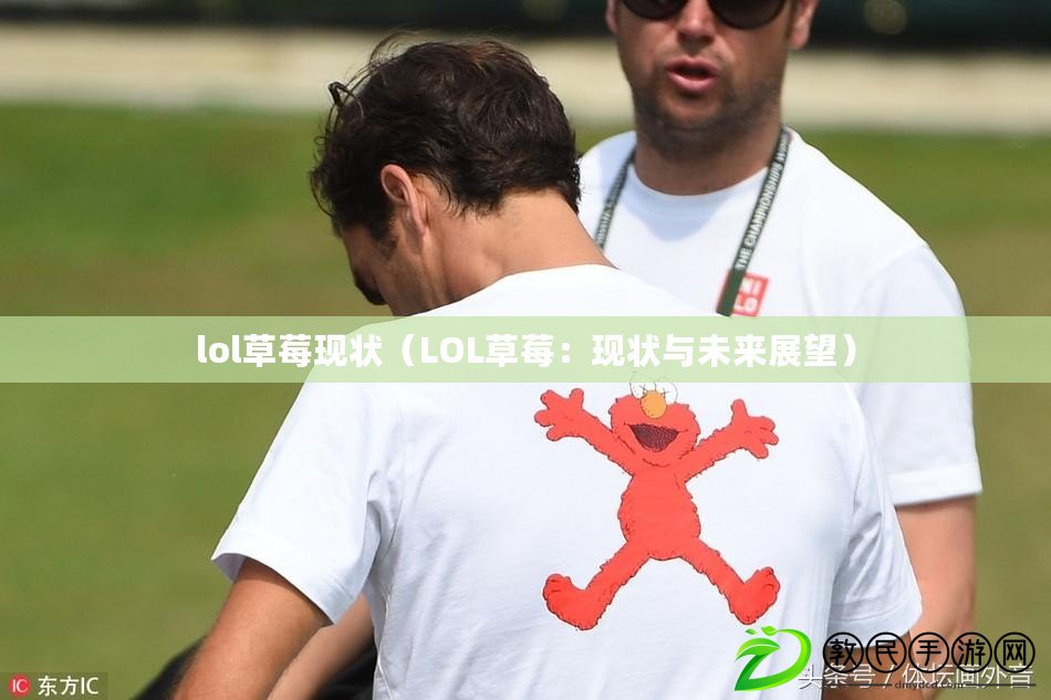 lol草莓現狀（LOL草莓：現狀與未來展望）