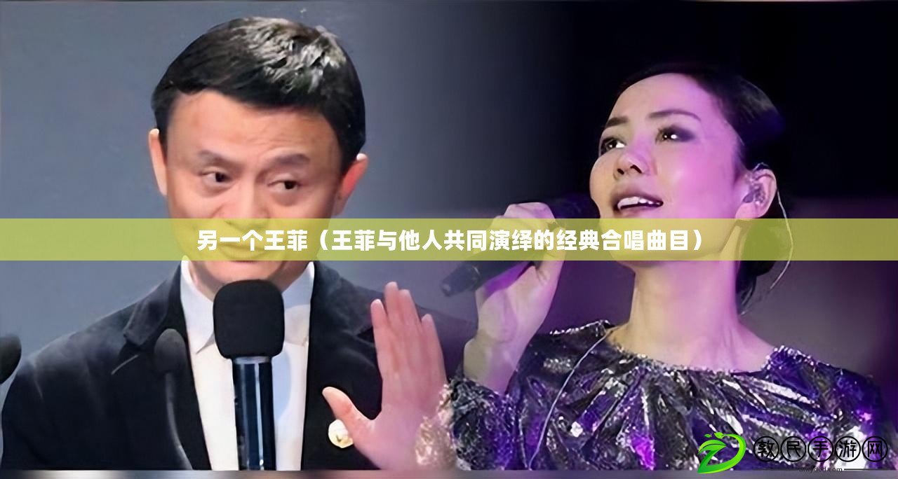 另一個王菲（王菲與他人共同演繹的經典合唱曲目）