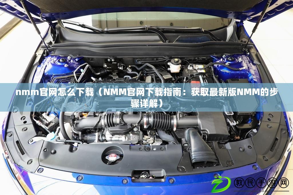nmm官網怎么下載（NMM官網下載指南：獲取最新版NMM的步驟詳解）