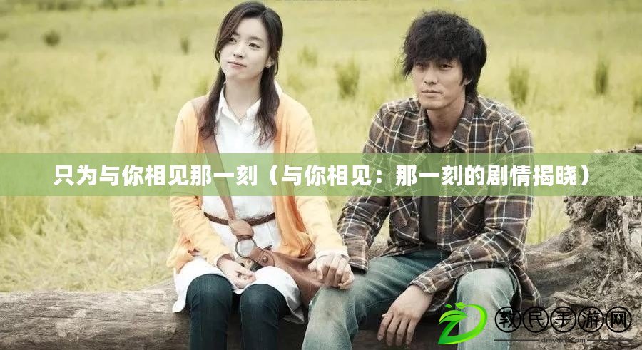 只為與你相見那一刻(與你相見:那一刻的劇情揭曉) 只為與你相見那一刻(與你相見:那一刻的劇情揭曉)
