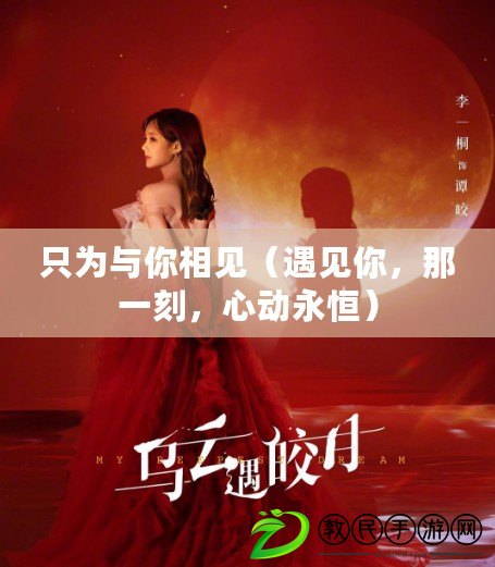 只為與你相見（遇見你，那一刻，心動永恒）