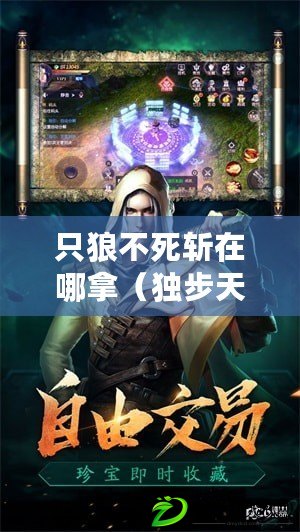 只狼不死斬在哪拿（獨步天下，劍影交錯：只狼一字斬二連攻略分享）