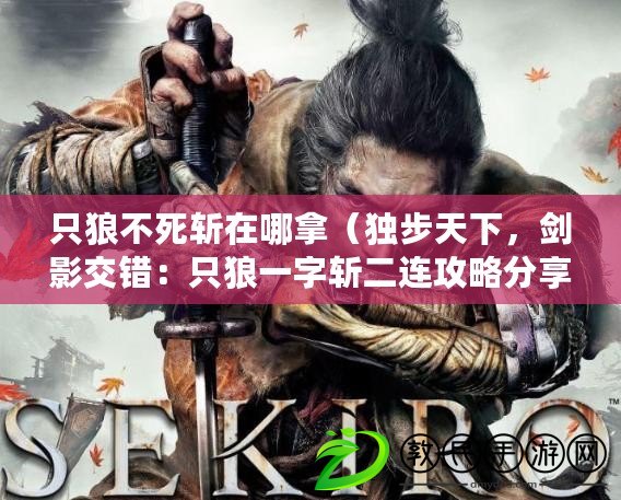 只狼不死斬在哪拿（獨步天下，劍影交錯：只狼一字斬二連攻略分享）