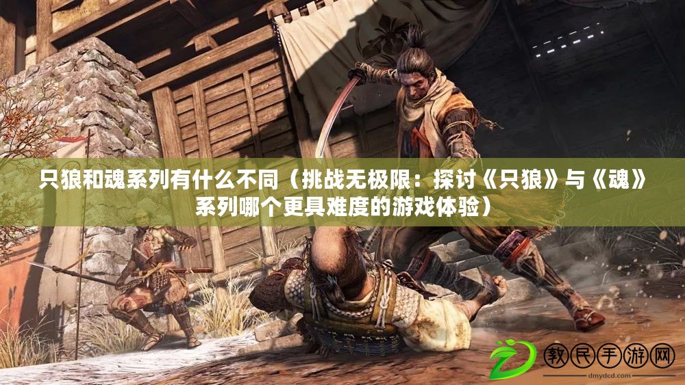 只狼和魂系列有什么不同（挑戰無極限：探討《只狼》與《魂》系列哪個更具難度的游戲體驗）