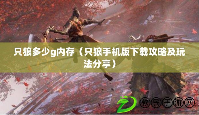 只狼多少g內存（只狼手機版下載攻略及玩法分享）