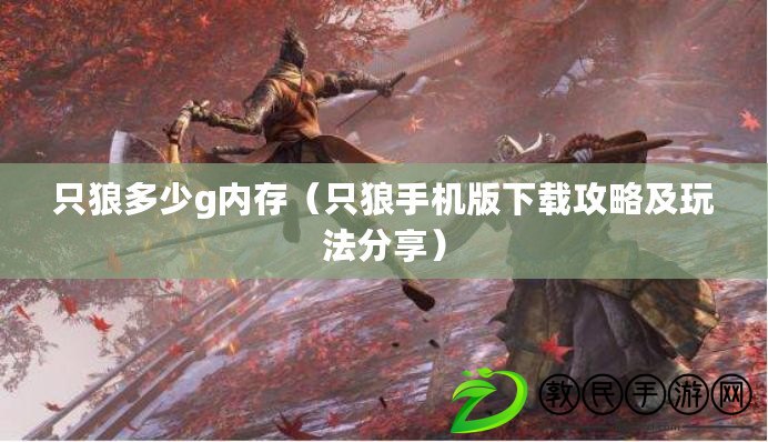 只狼多少g內存（只狼手機版下載攻略及玩法分享）
