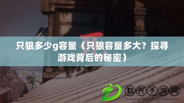 只狼多少g容量（只狼容量多大？探尋游戲背后的秘密）