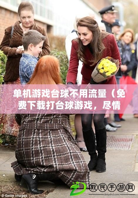 單機游戲臺球不用流量（免費下載打臺球游戲，盡情挑戰球技吧?。? title=