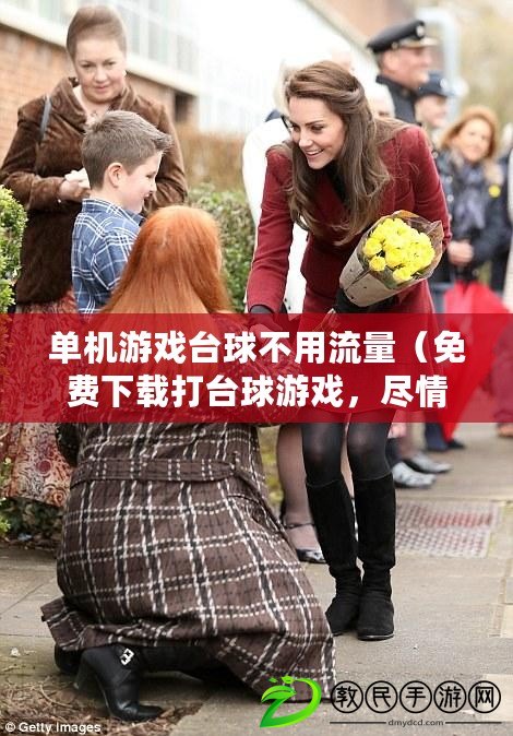 單機游戲臺球不用流量（免費下載打臺球游戲，盡情挑戰球技吧?。? title=
