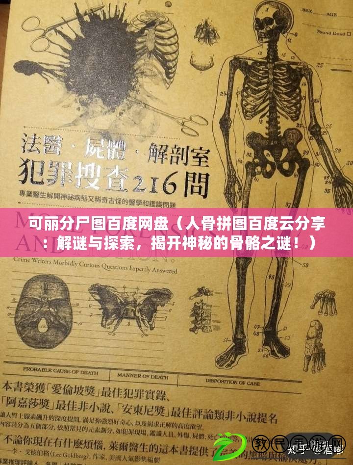 可麗分尸圖百度網盤（人骨拼圖百度云分享：解謎與探索，揭開神秘的骨骼之謎?。? title=