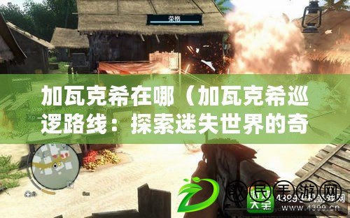 加瓦克希在哪（加瓦克希巡邏路線：探索迷失世界的奇幻之旅）