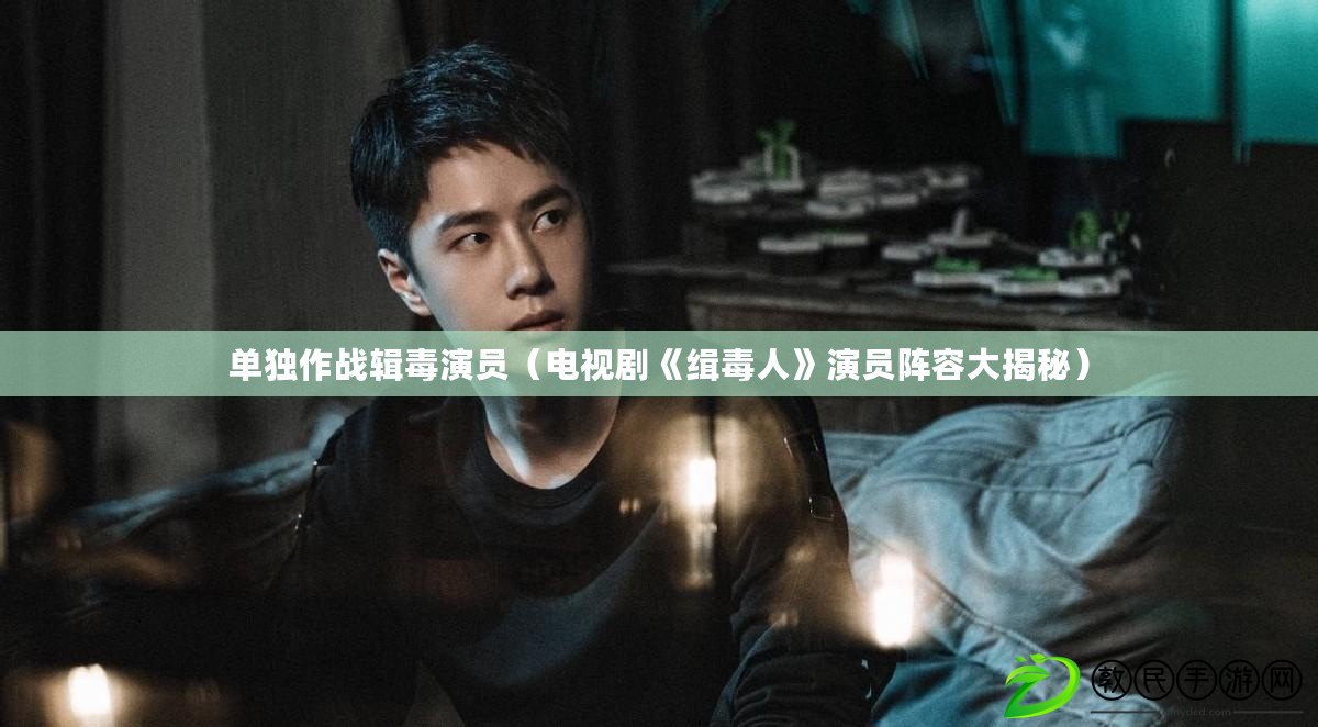 單獨作戰輯毒演員（電視劇《緝毒人》演員陣容大揭秘）