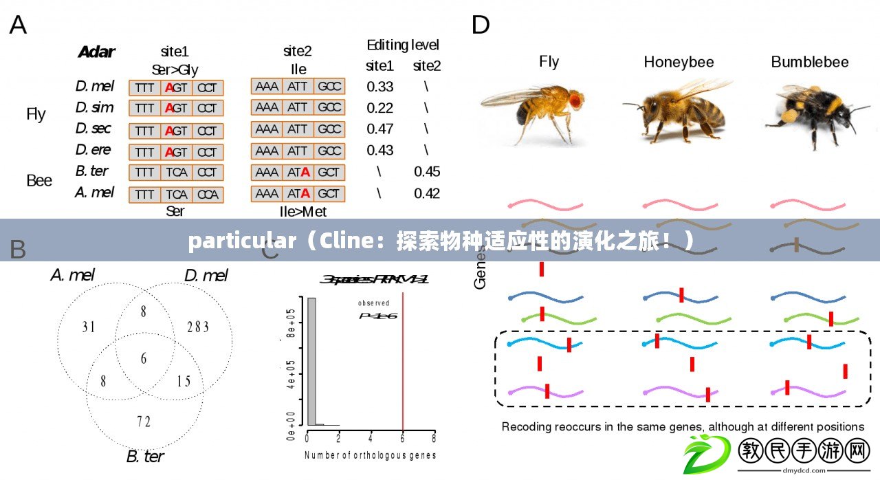 particular（Cline：探索物種適應性的演化之旅?。? title=