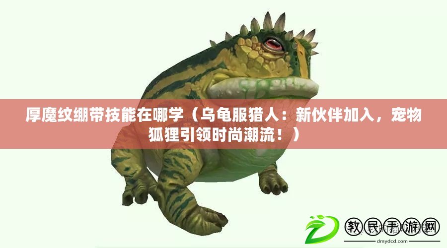 厚魔紋繃帶技能在哪學（烏龜服獵人：新伙伴加入，寵物狐貍引領時尚潮流?。? title=