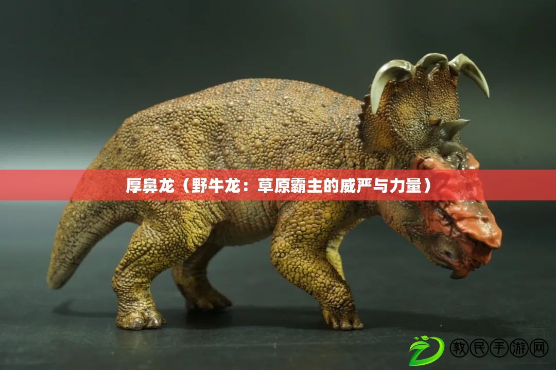 厚鼻龍(野牛龍:草原霸主的威嚴與力量) 厚鼻龍(野牛龍:草原霸主的威嚴與力量)