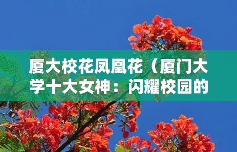 廈大?；P凰花（廈門大學十大女神：閃耀校園的美麗風景線）