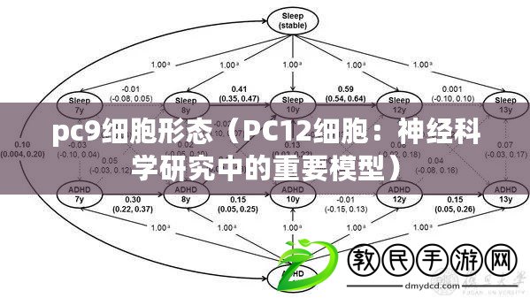 pc9細胞形態（PC12細胞：神經科學研究中的重要模型）