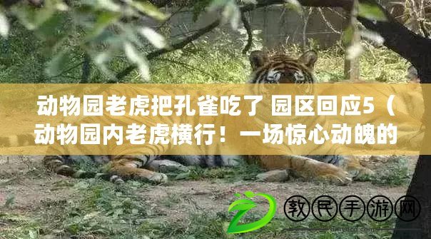動物園老虎把孔雀吃了 園區回應5（動物園內老虎橫行！一場驚心動魄的襲擊?。? title=