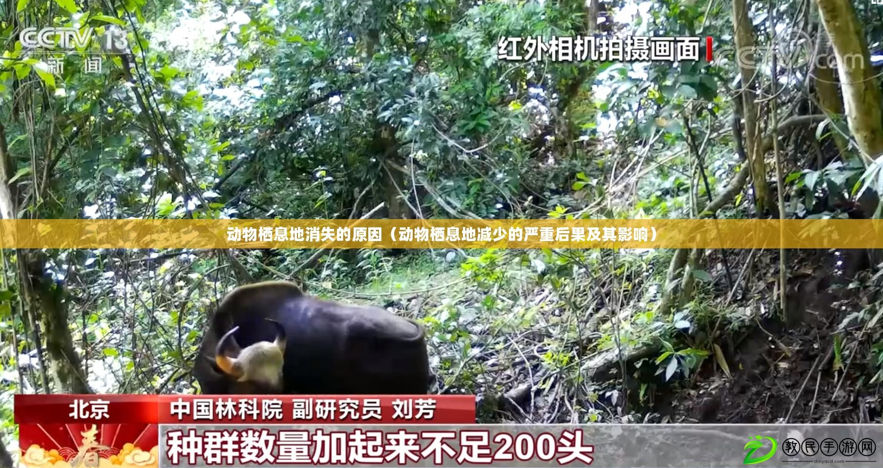 動物棲息地消失的原因(動物棲息地減少的嚴重后果及其影響) 動物棲息地消失的原因(動物棲息地減少的嚴重后果及其影響)