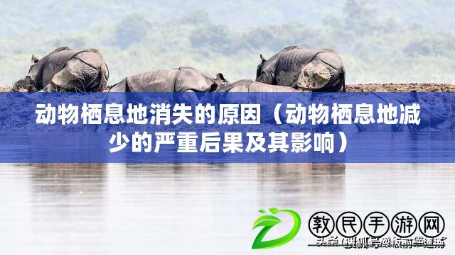 動物棲息地消失的原因(動物棲息地減少的嚴重后果及其影響) 動物棲息地消失的原因(動物棲息地減少的嚴重后果及其影響)