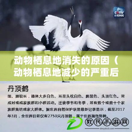 動物棲息地消失的原因(動物棲息地減少的嚴重后果及其影響) 動物棲息地消失的原因(動物棲息地減少的嚴重后果及其影響)