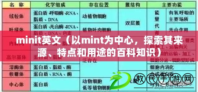 minit英文（以mint為中心，探索其來源、特點和用途的百科知識）