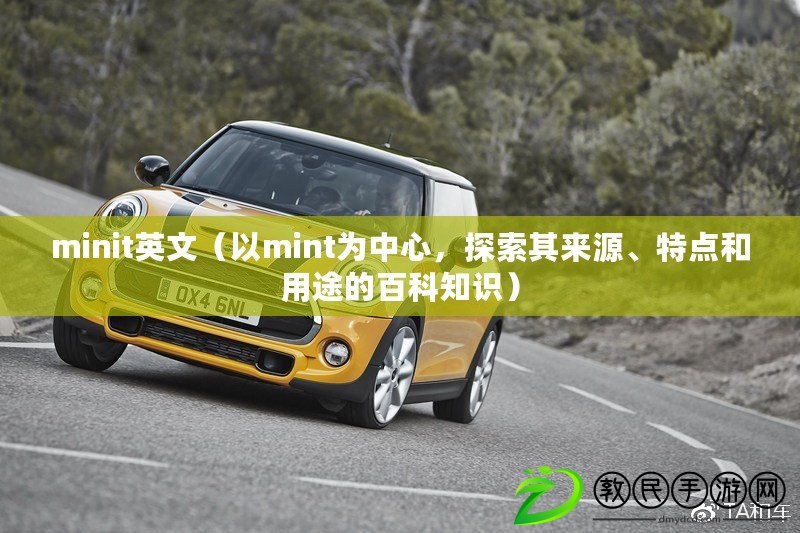 minit英文（以mint為中心，探索其來源、特點和用途的百科知識）