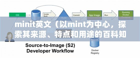 minit英文（以mint為中心，探索其來源、特點和用途的百科知識）