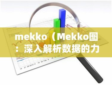 mekko（Mekko圖：深入解析數據的力量與視覺表達能力）