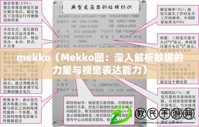 mekko（Mekko圖：深入解析數據的力量與視覺表達能力）