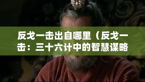 反戈一擊出自哪里（反戈一擊：三十六計中的智慧謀略之一）