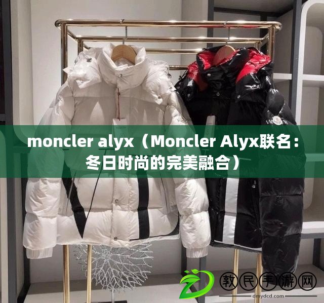 moncler alyx（Moncler Alyx聯名：冬日時尚的完美融合）