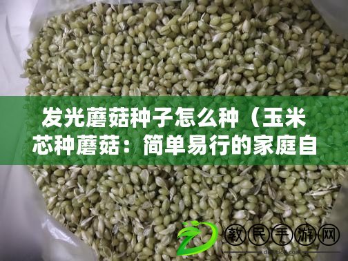 發光蘑菇種子怎么種（玉米芯種蘑菇：簡單易行的家庭自種方法）