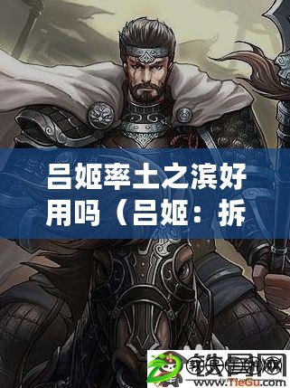 呂姬率土之濱好用嗎（呂姬：拆與用的辨析，解密5星呂姬的最佳戰術策略）