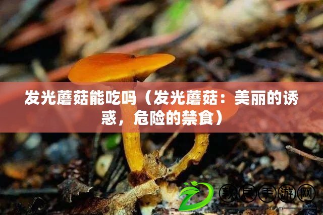 發光蘑菇能吃嗎（發光蘑菇：美麗的誘惑，危險的禁食）