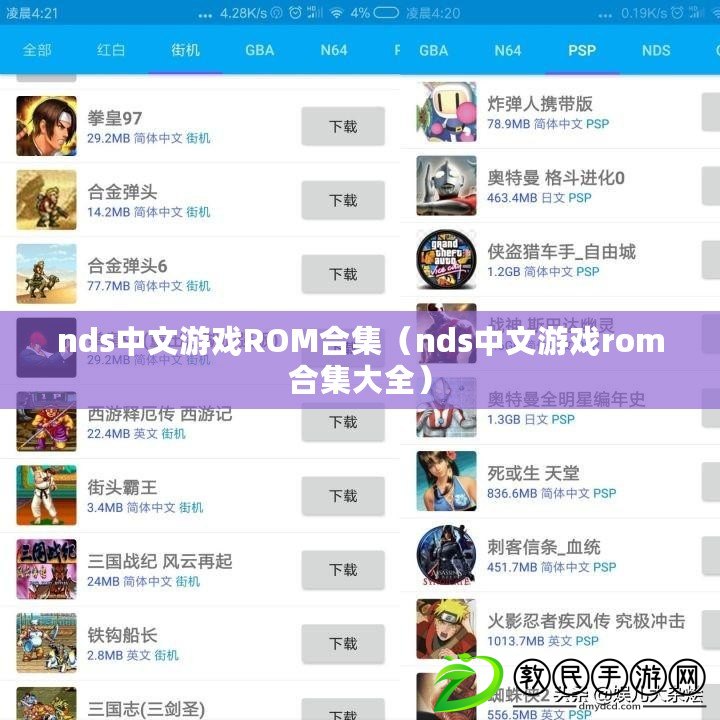nds中文游戲ROM合集（nds中文游戲rom合集大全）