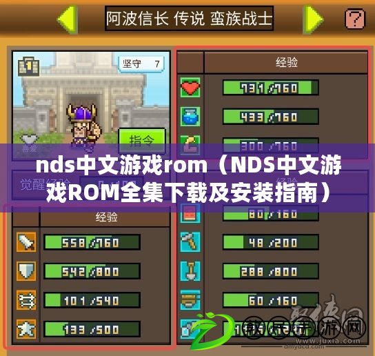 nds中文游戲rom（NDS中文游戲ROM全集下載及安裝指南）