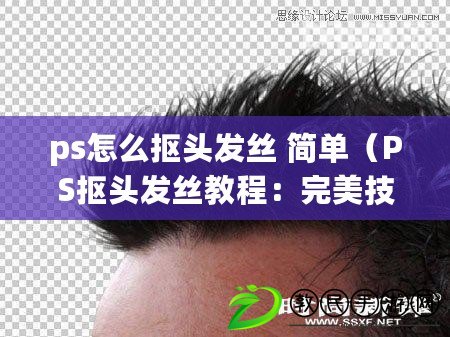 ps怎么摳頭發絲 簡單(PS摳頭發絲教程:完美技巧分享) ps怎么摳頭發絲 簡單(PS摳頭發絲教程:完美技巧分享)