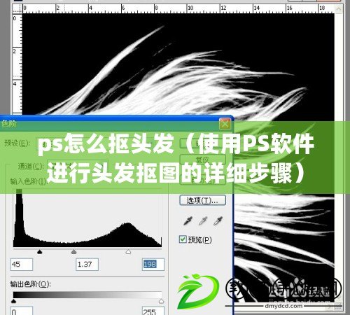 ps怎么摳頭發（使用PS軟件進行頭發摳圖的詳細步驟）